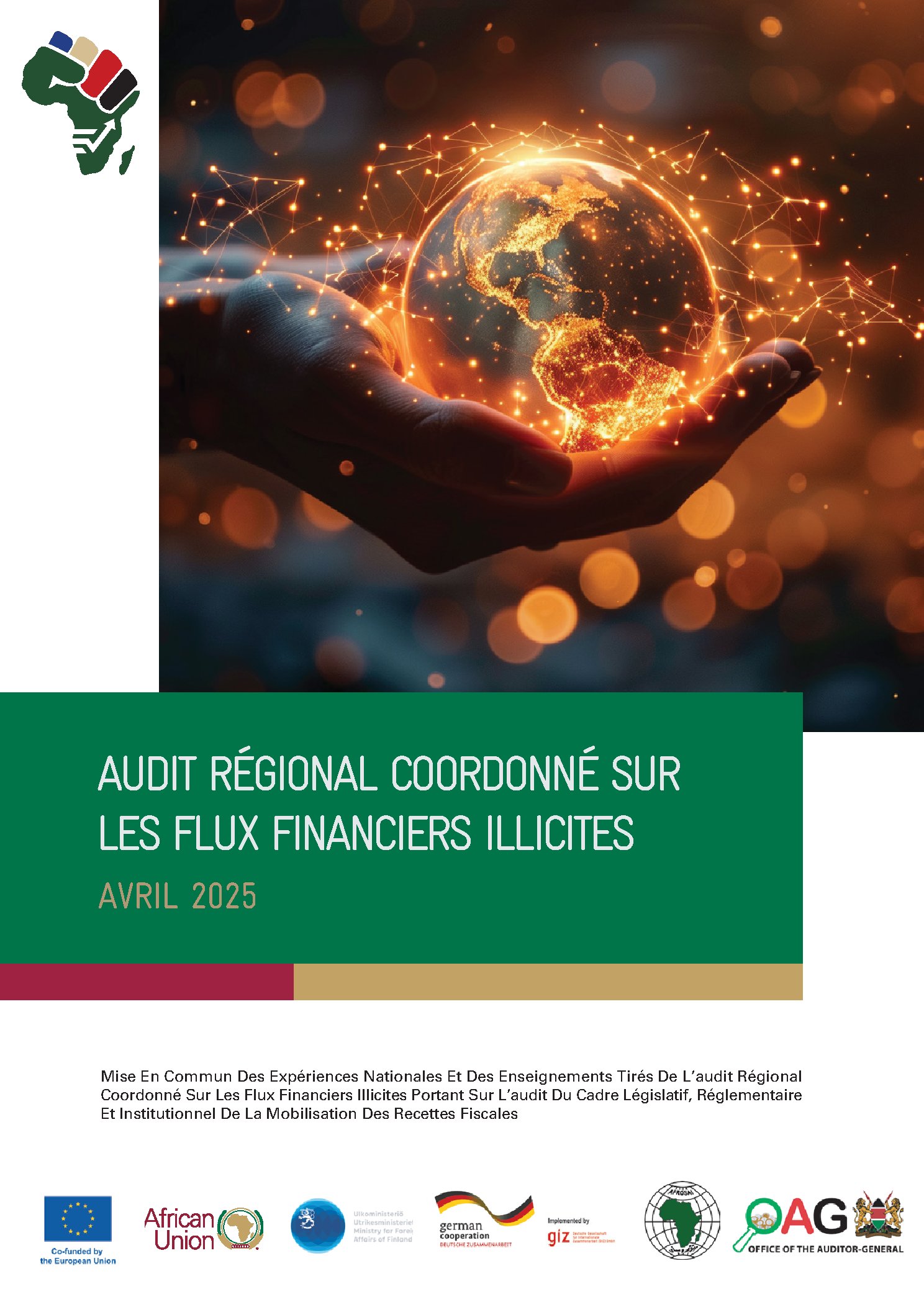 Compendium des Bonnes Pratiques – Audit Régional Coordonné sur les Flux Financiers Illicites (Avril 2025)