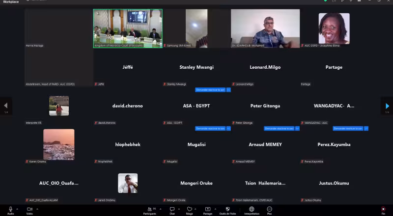 Webinaire AFROSAI 23-06-2026