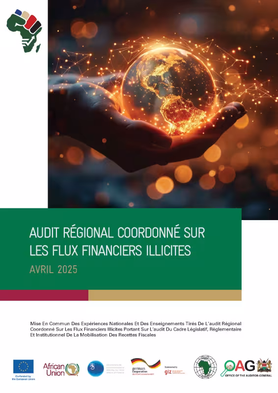 Compendium des Bonnes Pratiques – Audit Régional Coordonné sur les Flux Financiers Illicites (Avril 2025)